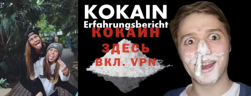 Cocaine Fish Scale  omg ССЫЛКА  Новосибирск 